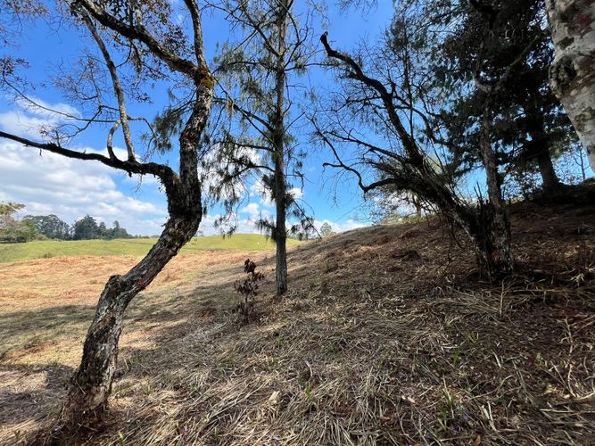 Lote en venta en El Carmen de Viboral, 2993 m² · foto 10 de 18