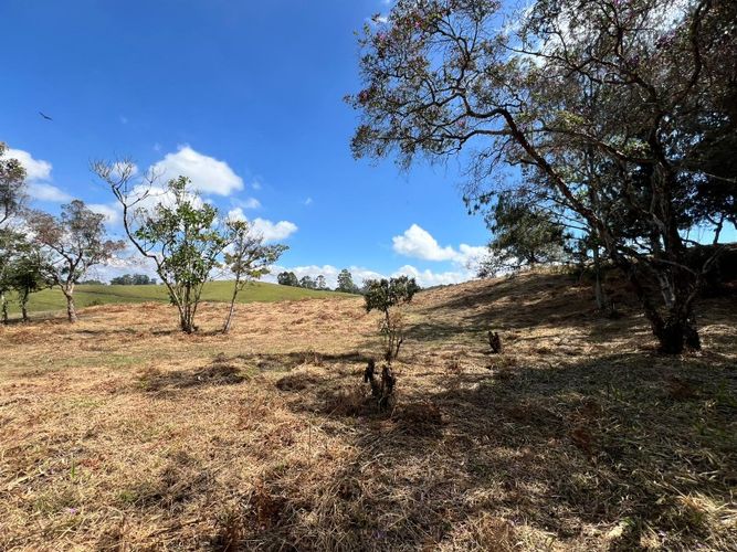 Lote en venta en El Carmen de Viboral, 2993 m² · foto 11 de 18