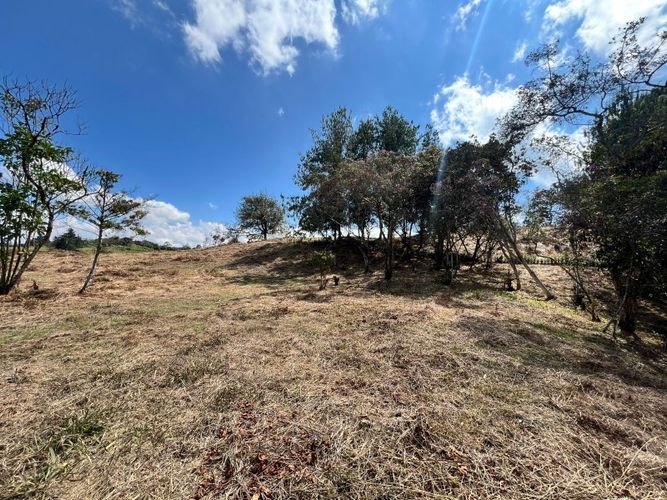 Lote en venta en El Carmen de Viboral, 2993 m² · foto 12 de 18