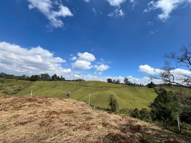 Lote en venta en El Carmen de Viboral, 2993 m² · foto 13 de 18