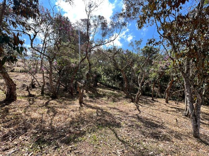 Lote en venta en El Carmen de Viboral, 2993 m² · foto 17 de 18