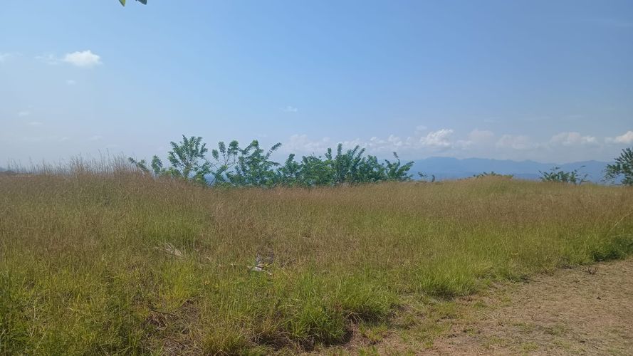 Lote en venta en Puerto Caldas, Pereira, 11247 m² · foto 5 de 7