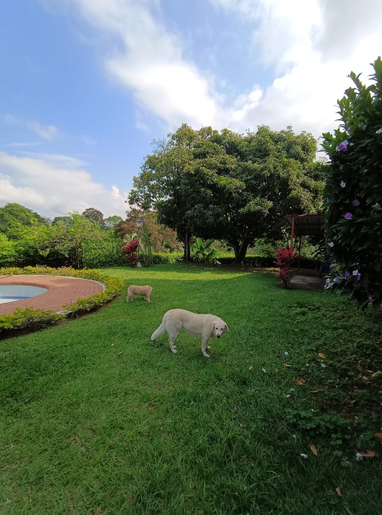 Casa en venta en Quintas De Sevilla, Pereira · foto 16 de 24
