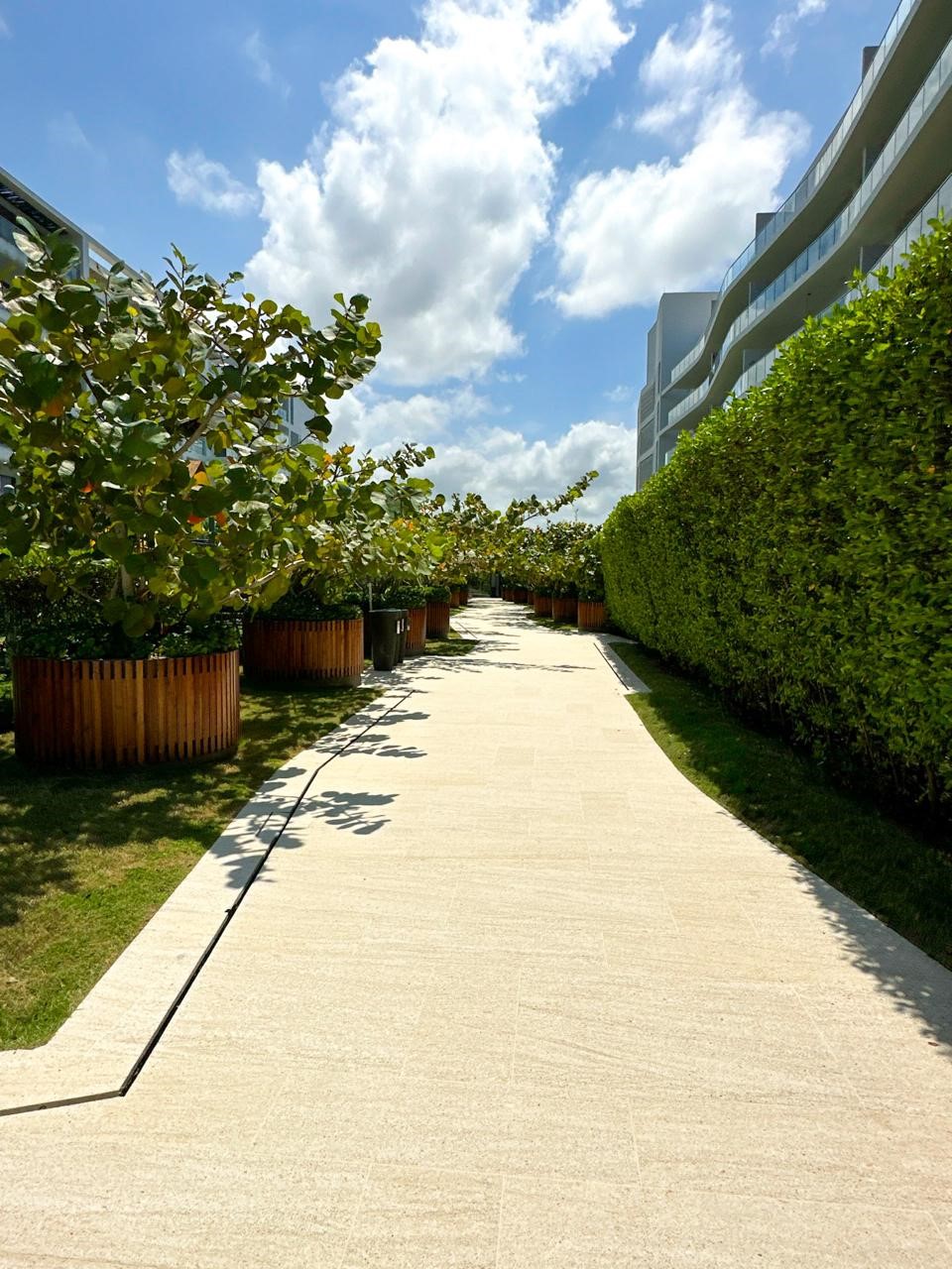 Apartamento en venta en Manzanillo, Cartagena · foto 15 de 20