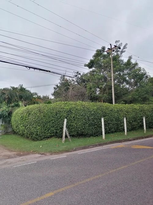 Lote en venta en Ruitoque Condominio, Floridablanca, 3664 m² · foto 4 de 24