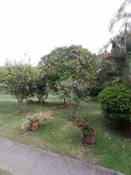 Lote en venta en Ruitoque Condominio, Floridablanca, 3664 m² · foto 9 de 24