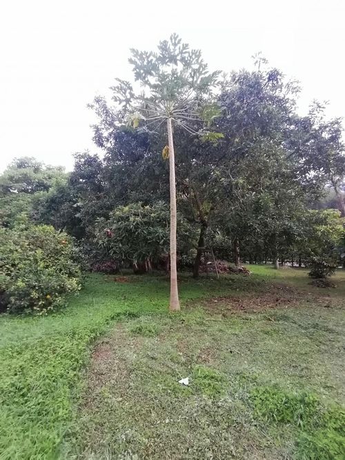 Lote en venta en Ruitoque Condominio, Floridablanca, 3664 m² · foto 13 de 24