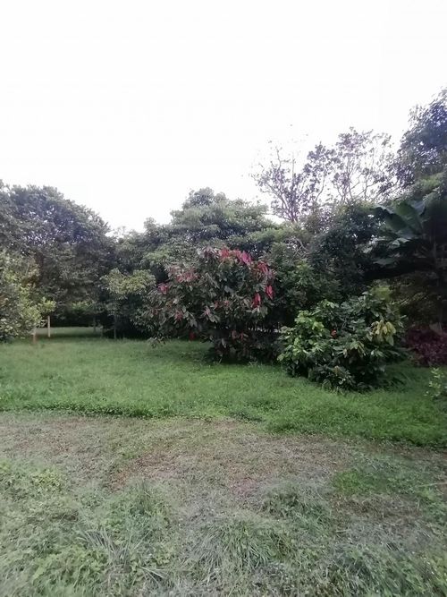 Lote en venta en Ruitoque Condominio, Floridablanca, 3664 m² · foto 14 de 24