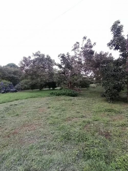 Lote en venta en Ruitoque Condominio, Floridablanca, 3664 m² · foto 15 de 24