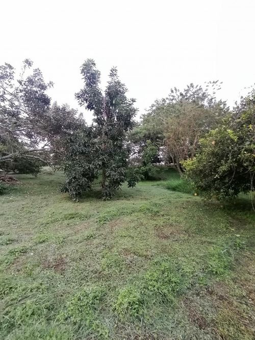 Lote en venta en Ruitoque Condominio, Floridablanca, 3664 m² · foto 16 de 24