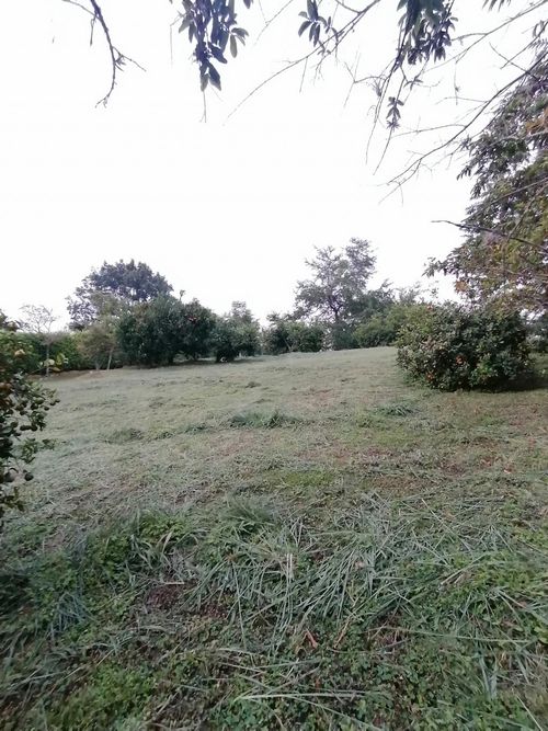 Lote en venta en Ruitoque Condominio, Floridablanca, 3664 m² · foto 19 de 24