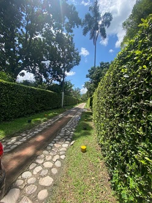 Lote en venta en Los Llanitos, Piedecuesta, 700 m² · foto 2 de 6