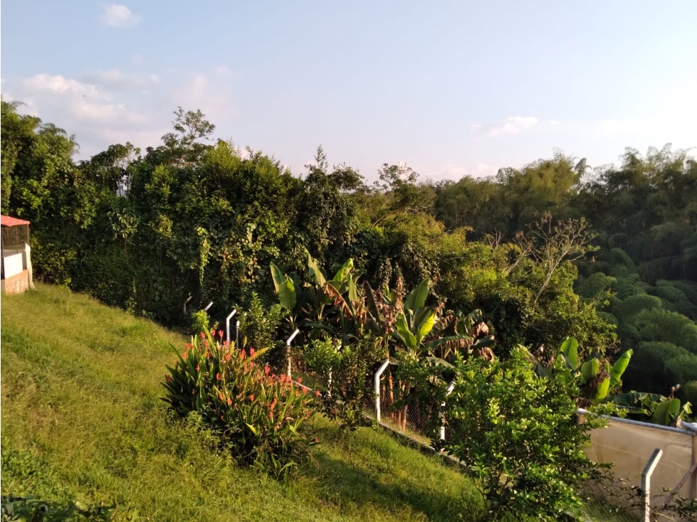 Casa en venta en Morelia, Pereira · foto 15 de 20