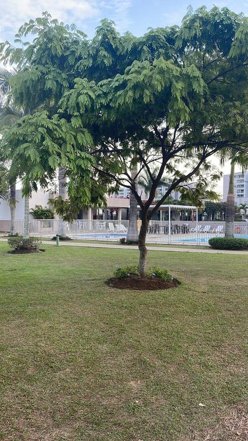 Casa de 3 alcobas en venta en Cr. Los Naranjos, Jamundí, 258 m² · foto 23 de 24