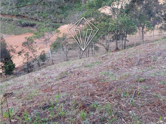 Lote en venta en Quirama, La Ceja, 2962 m² · foto 4 de 8
