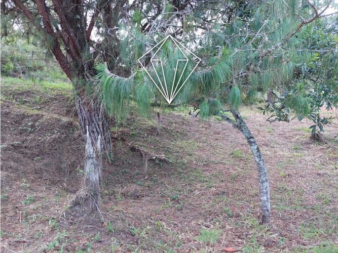 Lote en venta en Quirama, La Ceja, 2962 m² · foto 8 de 8
