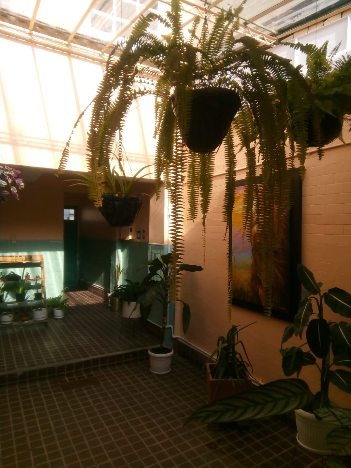 Casa en venta en Samper Mendoza, Bogotá · foto 5 de 11
