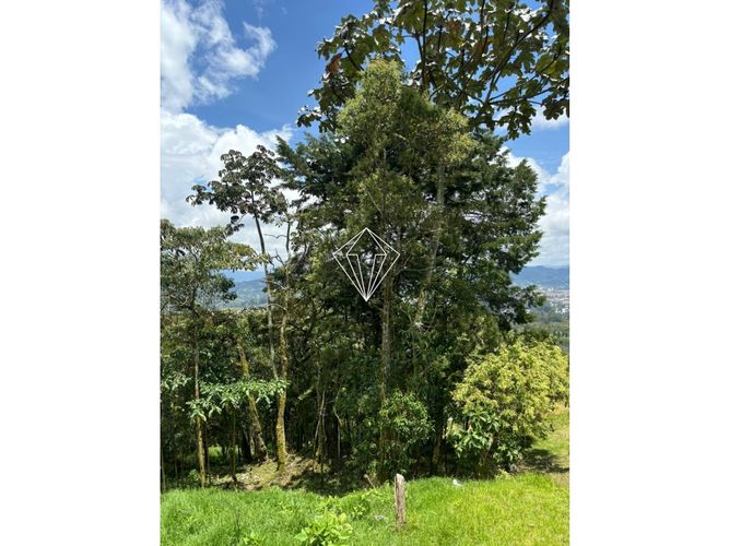 Lote en venta en Lomitas, La Ceja, 1780 m² · foto 6 de 13