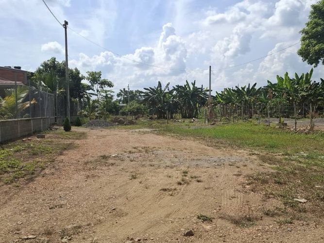 Lote en venta en Buenavista, Montería, 1000 m² · foto 2 de 6
