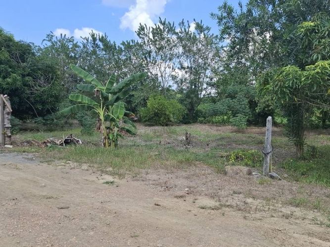 Lote en venta en Buenavista, Montería, 1000 m² · foto 3 de 6