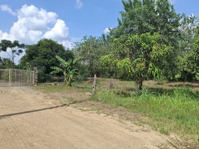 Lote en venta en Buenavista, Montería, 1000 m² · foto 4 de 6