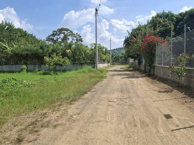 Lote en venta en Buenavista, Montería, 1000 m² · foto 5 de 6