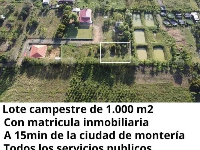 Lote en venta en Buenavista, Montería, 1000 m² · foto 6 de 6