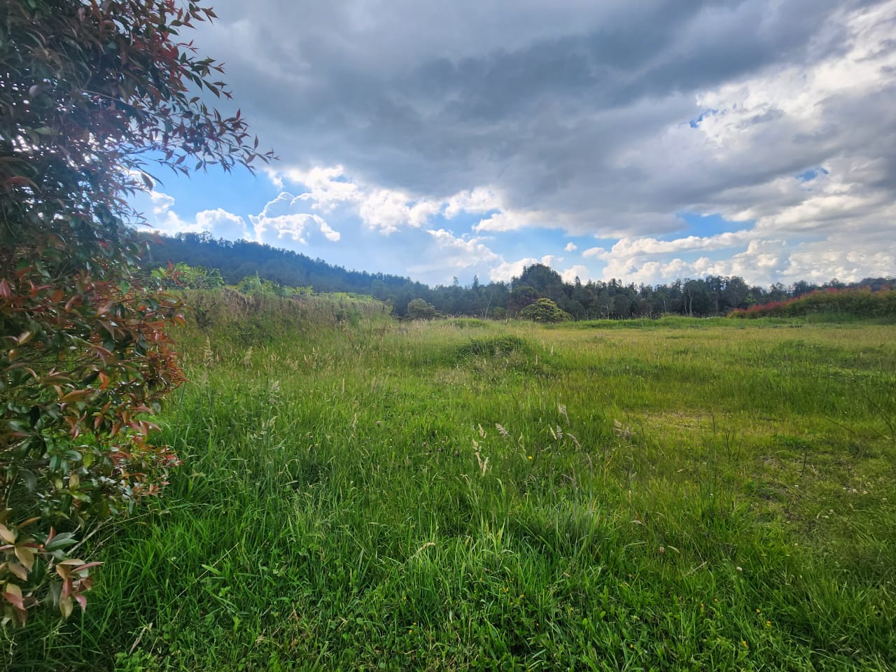 Lote en  Venta en Las Palmas, Envigado