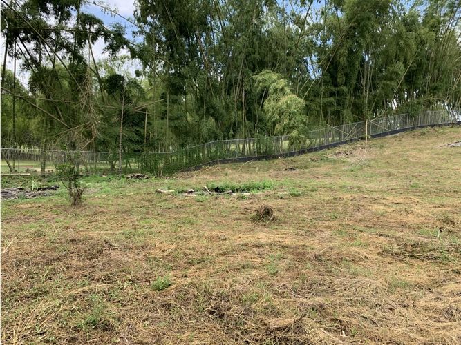 Lote en venta en Via El Eden, Armenia, 3675 m² · foto 9 de 17