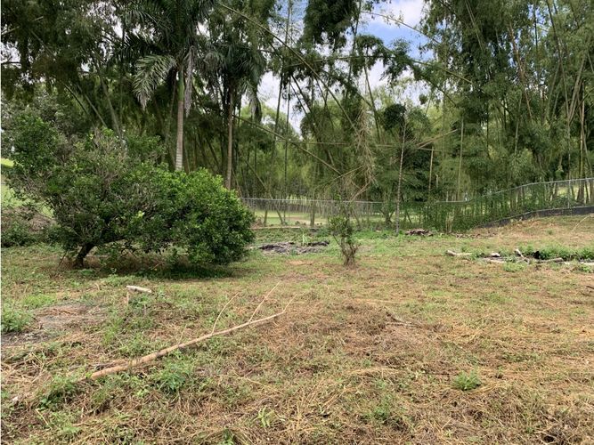 Lote en venta en Via El Eden, Armenia, 3675 m² · foto 16 de 17