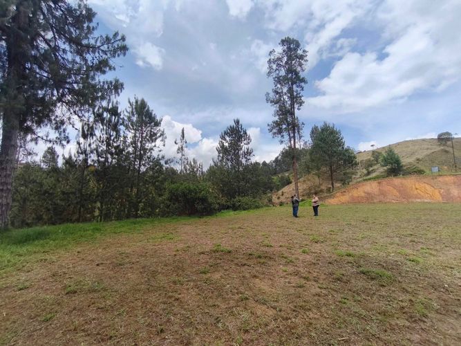 Lote en venta en El Retiro, 9639 m² · foto 5 de 16