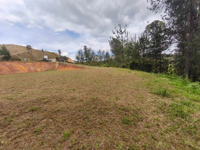 Lote en venta en El Retiro, 9639 m² · foto 6 de 16