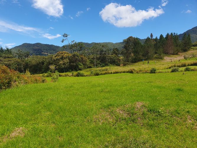 Lote en venta en El Tambo, La Ceja, 2000 m² · foto 4 de 10