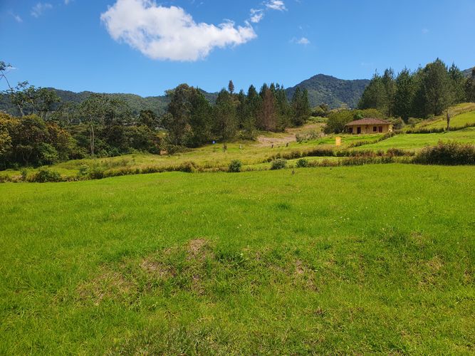 Lote en venta en El Tambo, La Ceja, 2000 m² · foto 3 de 10