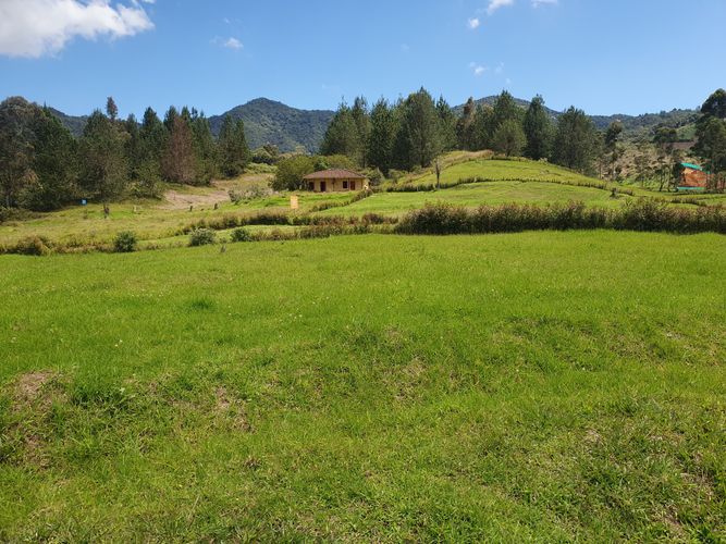 Lote en venta en El Tambo, La Ceja, 2000 m² · foto 2 de 10