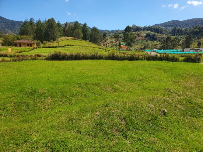 Lote en venta en El Tambo, La Ceja, 2000 m² · foto 5 de 10