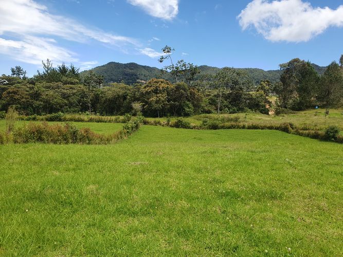 Lote en venta en El Tambo, La Ceja, 2000 m² · foto 10 de 10