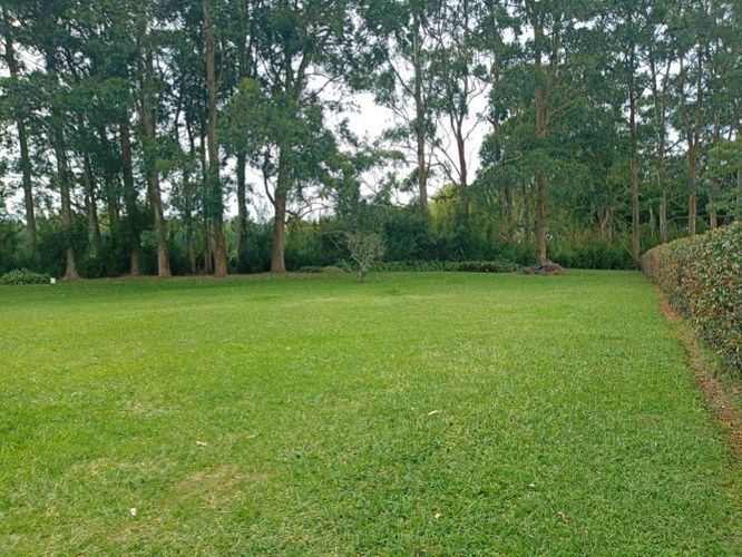 Lote en venta en El Porvenir, Rionegro, 2996 m² · foto 2 de 3