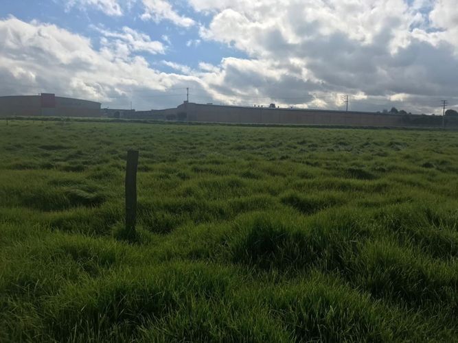 Lote en venta en La Florida, Cota, 81389 m² · foto 8 de 13
