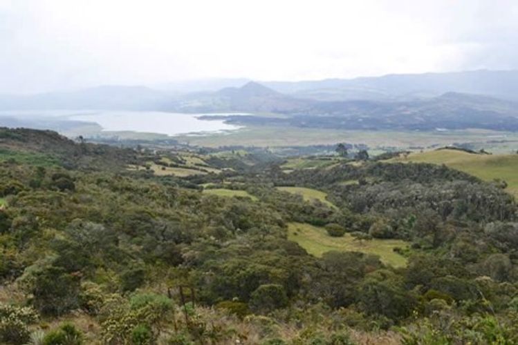 Finca en venta en Canavita, Tocancipá, 62200 m² · foto 6 de 14