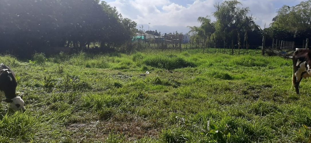 Lote en venta en Cota, 841 m² · foto 3 de 9