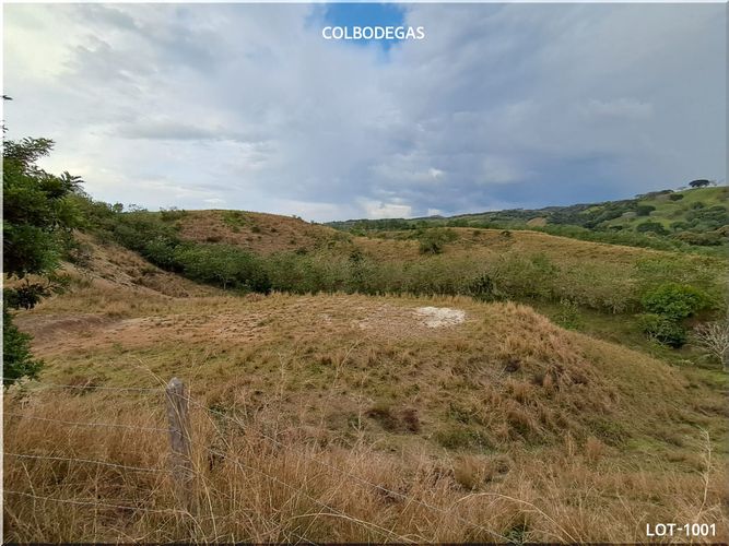 Lote en venta en Puerto Caldas, Pereira, 10520 m² · foto 2 de 11