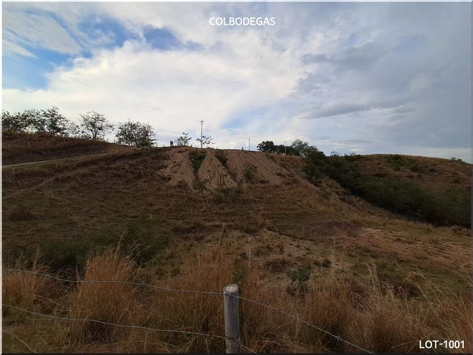 Lote en venta en Puerto Caldas, Pereira, 10520 m² · foto 4 de 11
