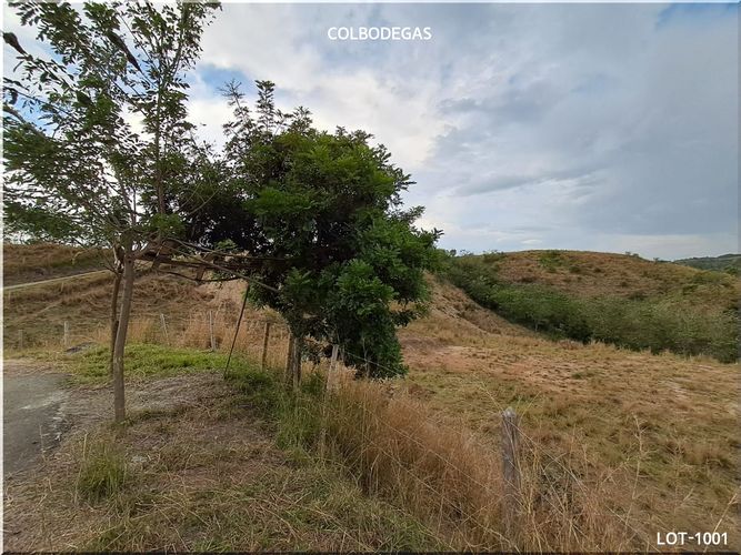 Lote en venta en Puerto Caldas, Pereira, 10520 m² · foto 6 de 11