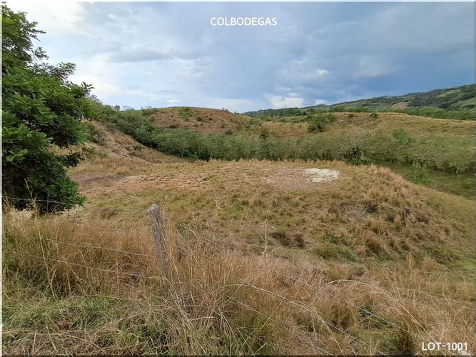 Lote en venta en Puerto Caldas, Pereira, 10520 m² · foto 7 de 11