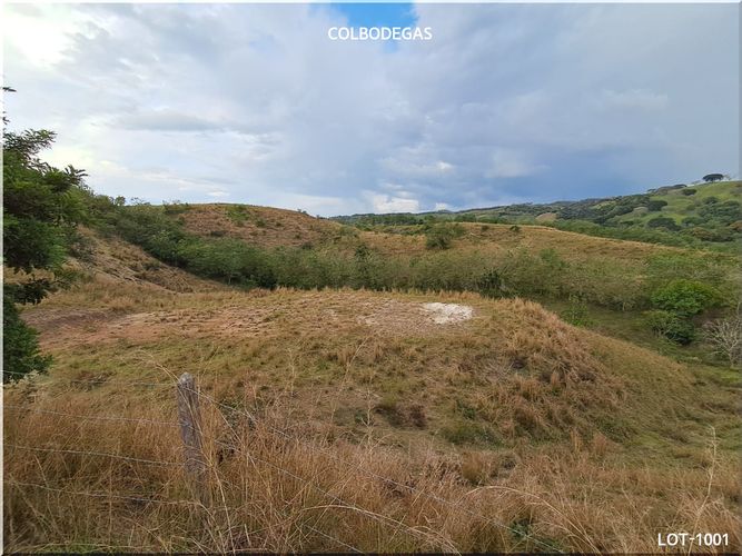 Lote en venta en Puerto Caldas, Pereira, 10520 m² · foto 8 de 11