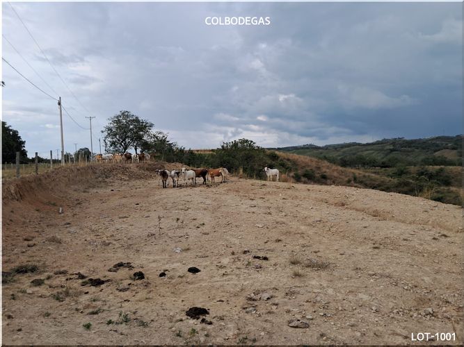 Lote en venta en Puerto Caldas, Pereira, 10520 m² · foto 10 de 11