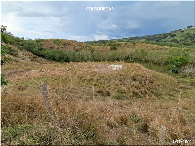 Lote en venta en Puerto Caldas, Pereira, 10520 m² · foto 11 de 11