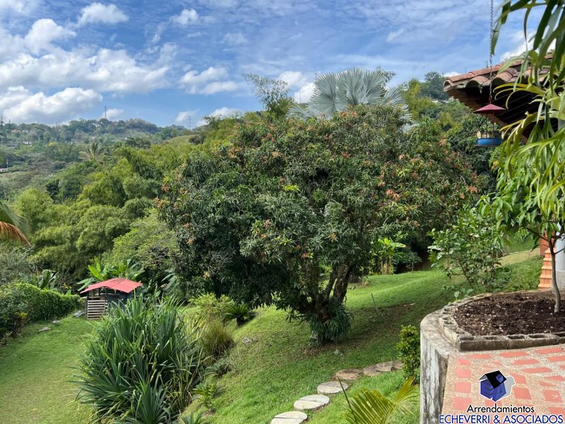 2BR House in Centro for Sale - 3