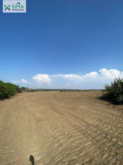 Lote en venta en Barú, Cartagena · foto 5 de 9